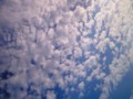 20090713115542