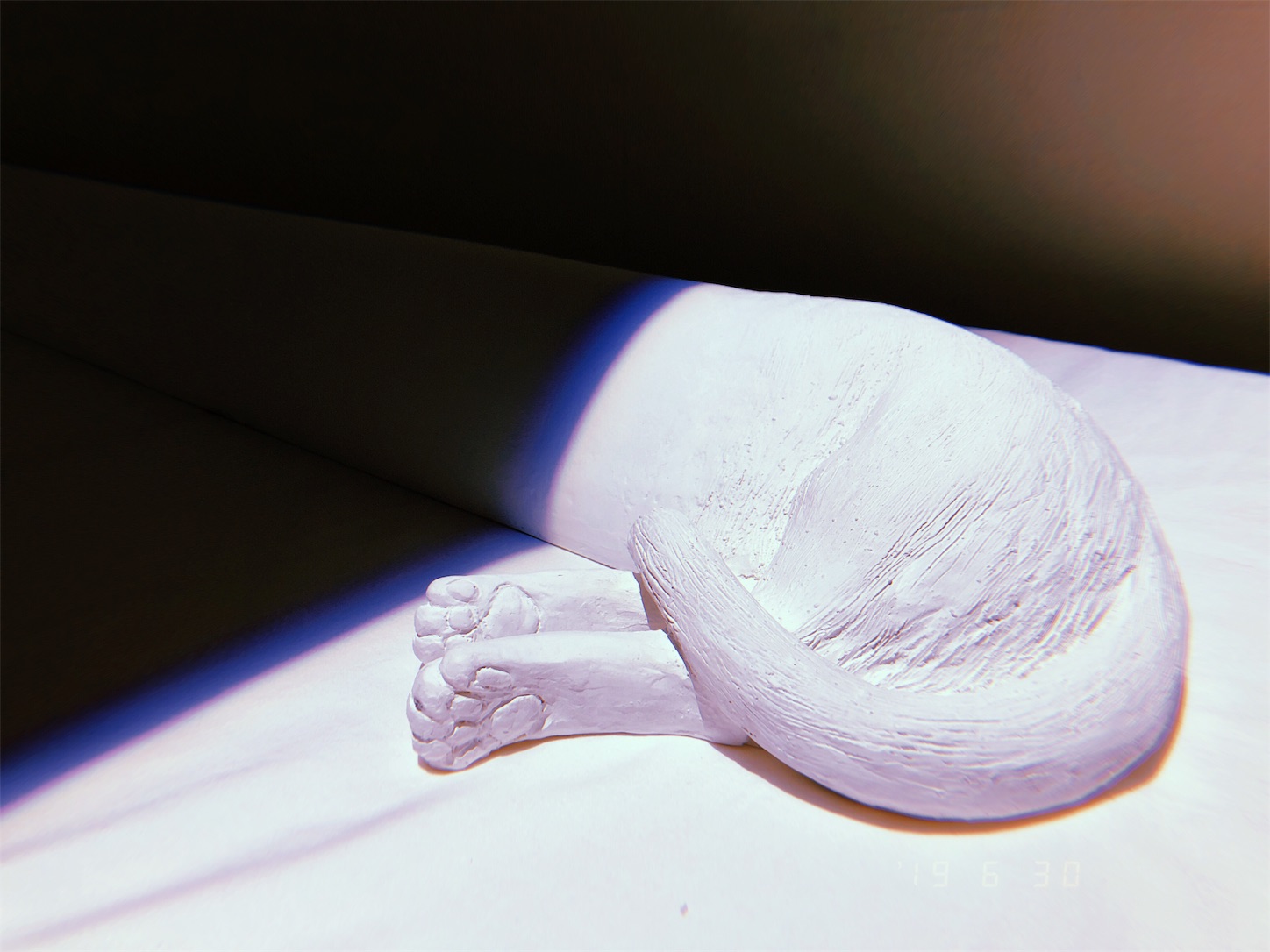 f:id:kirin1104:20190702215536j:image f:id:kirin1104:20190702215536j:image
