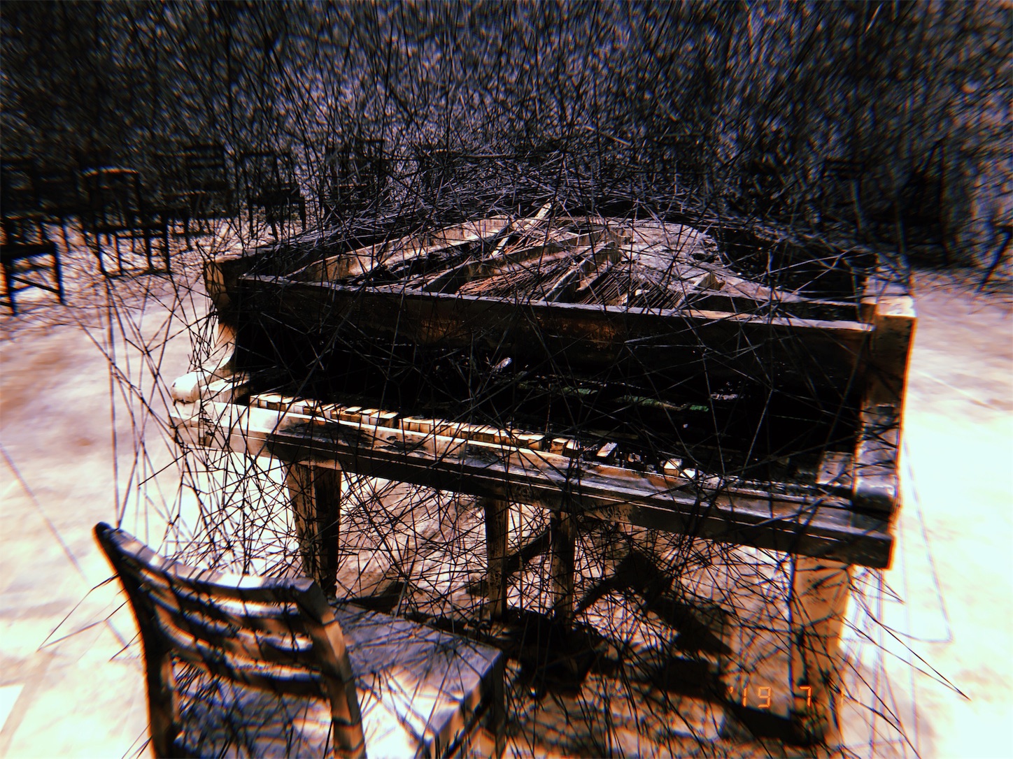 f:id:kirin1104:20190714123554j:image f:id:kirin1104:20190714123554j:image