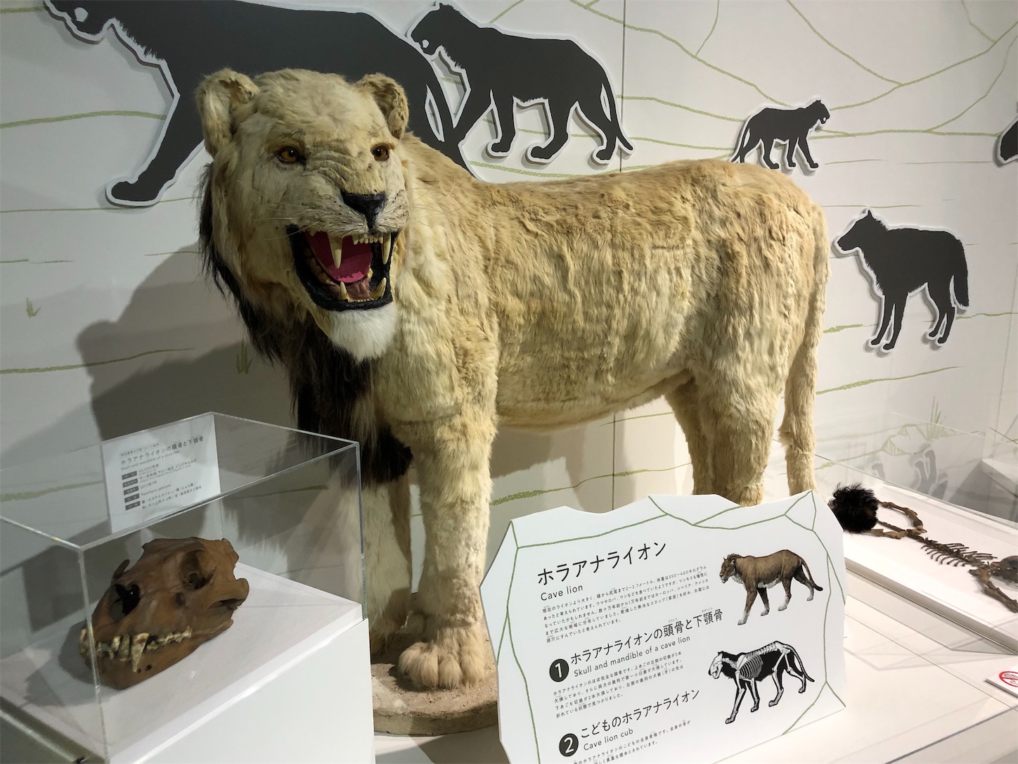 f:id:kirin1104:20190717203932j:image f:id:kirin1104:20190717203932j:image