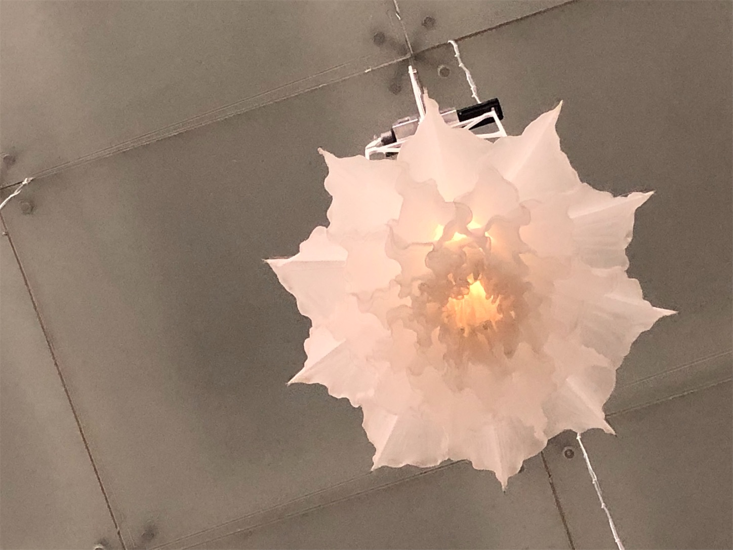 f:id:kirin1104:20190827131926j:image f:id:kirin1104:20190827131926j:image