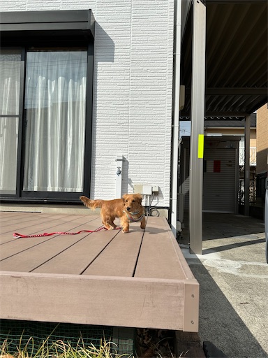 f:id:kirin385:20230226155647j:image f:id:kirin385:20230226155647j:image