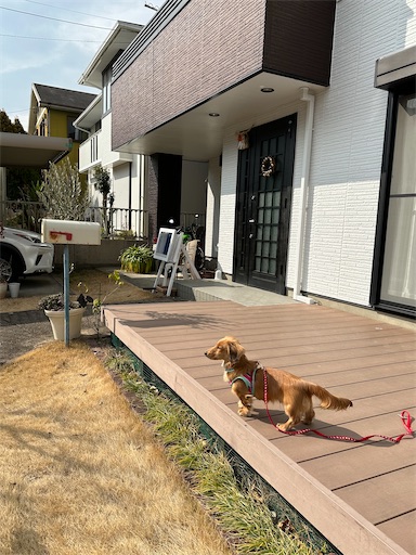 f:id:kirin385:20230226155651j:image f:id:kirin385:20230226155651j:image