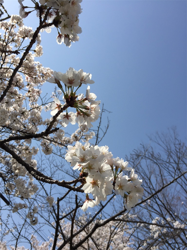 f:id:kirin5699:20180329235651j:image