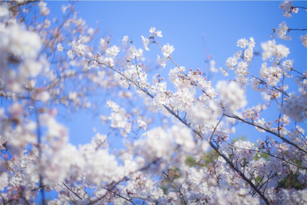 f:id:kirin5699:20180408000658j:image