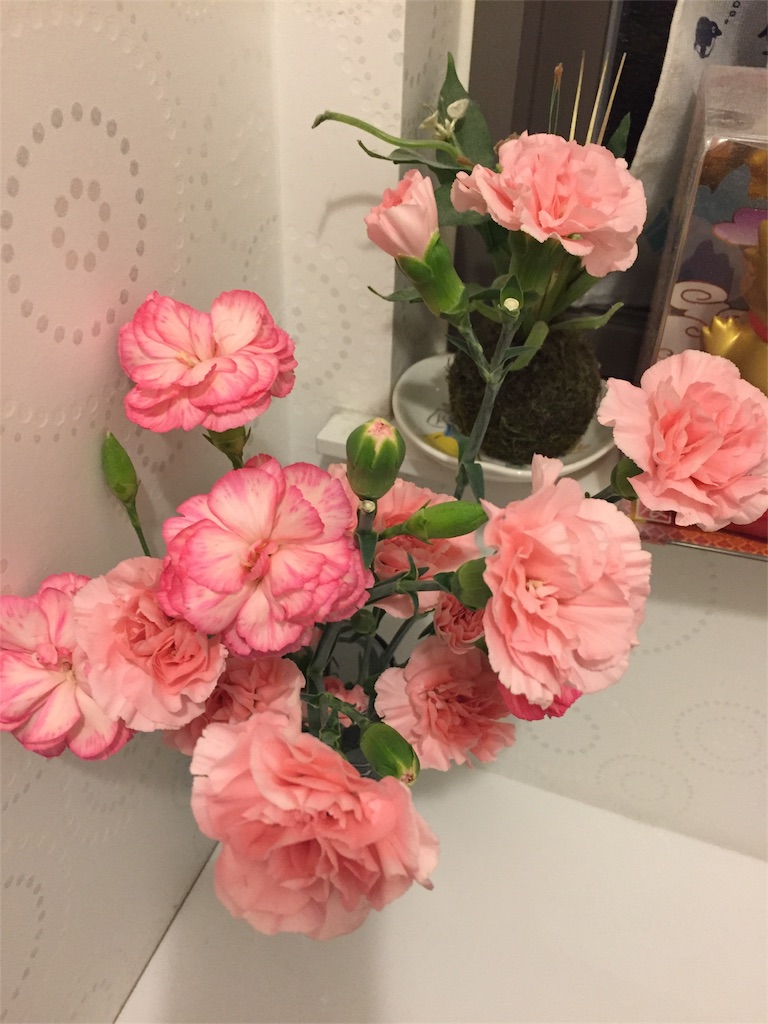 f:id:kirin5699:20180514000151j:image