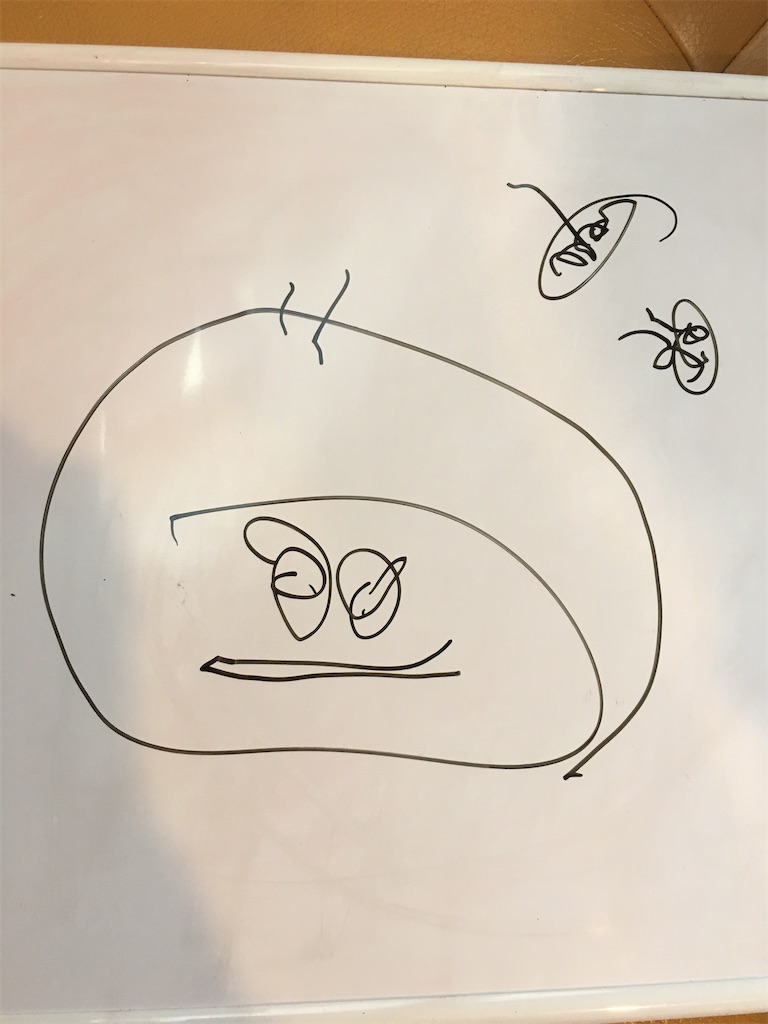 f:id:kirin5699:20200309234725j:image
