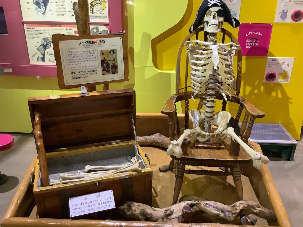 f:id:kirinmatsuge:20200216192937j:image f:id:kirinmatsuge:20200216192937j:image