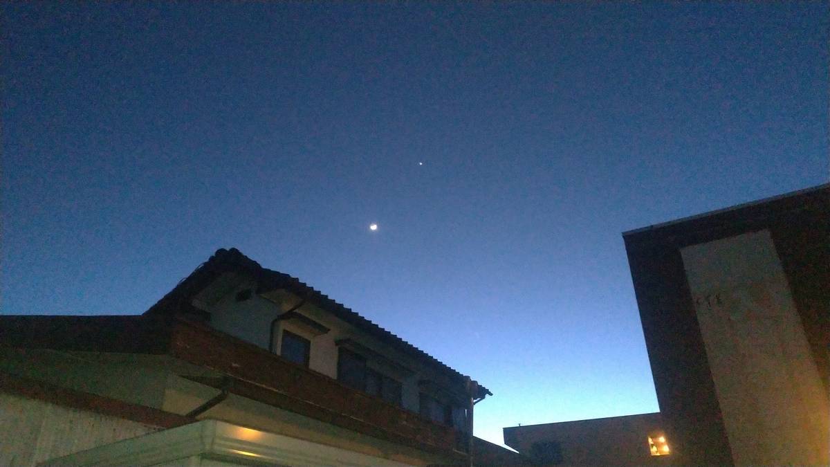 f:id:kirinnox:20200227181225j:plain