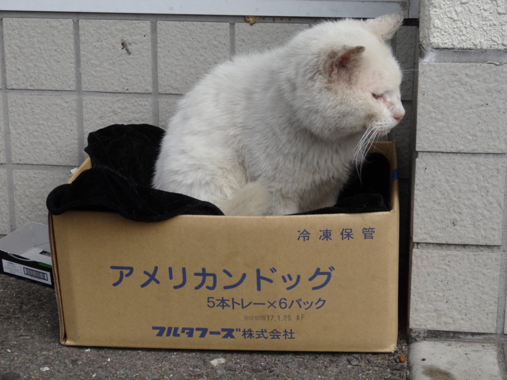 f:id:kirinup:20160408070056j:plain