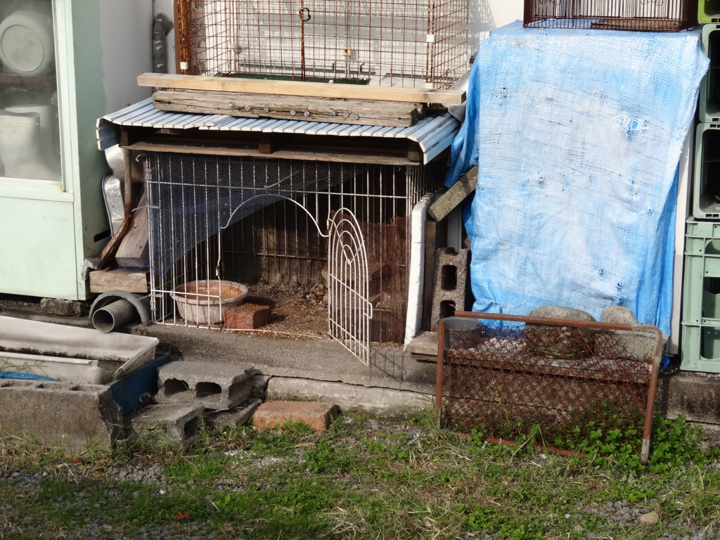 f:id:kirinup:20161201081330j:plain f:id:kirinup:20161201081330j:plain