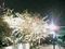 f:id:kiririmode:20070607000807j:image:small:right