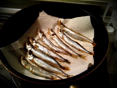 f:id:kiririmode:20081207221746j:image