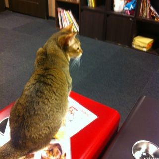 f:id:kiririmode:20120819225230j:image