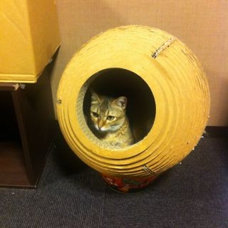 f:id:kiririmode:20120819225231j:image