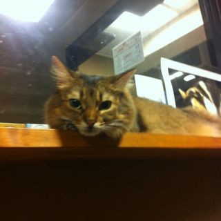 f:id:kiririmode:20120819225232j:image