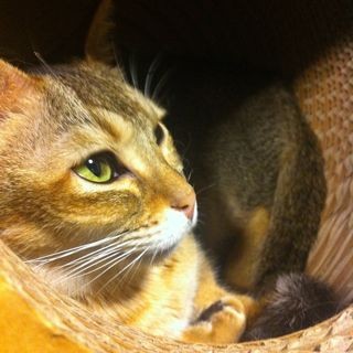 f:id:kiririmode:20120819230844j:image