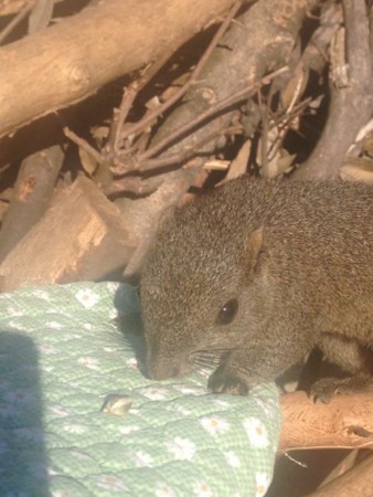 f:id:kiririmode:20140111131132j:image