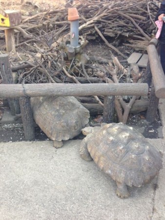 f:id:kiririmode:20140111140405j:image