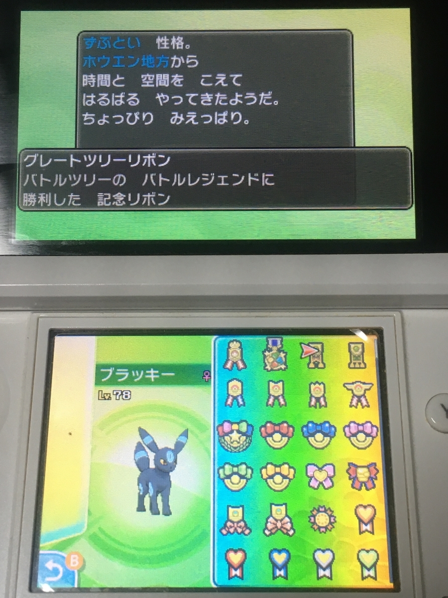 ブラッキーリボンコンプへの道【第7世代・USUM完結編】 - りんごのーと