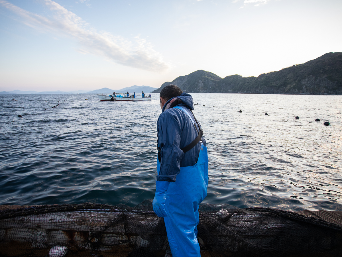 f:id:kirishimaonsen:20191203231737j:plain