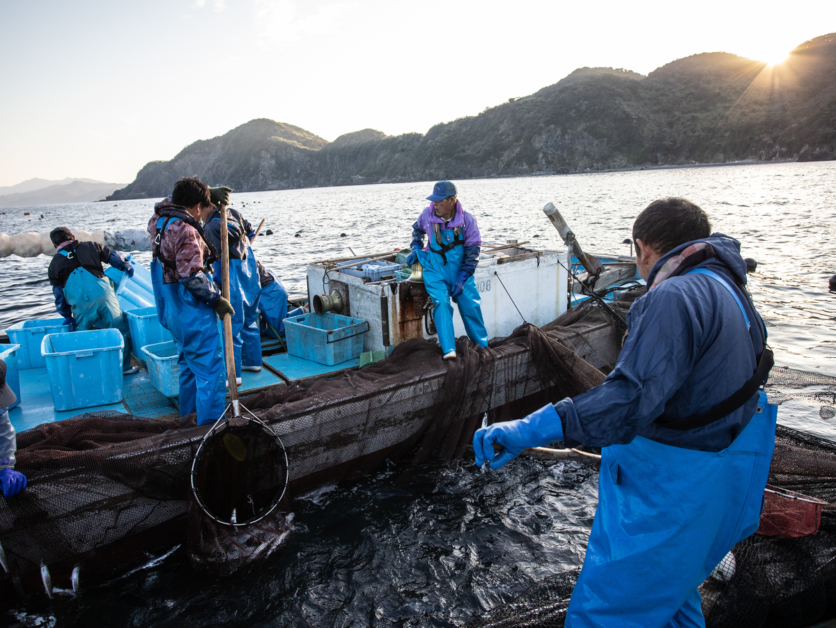 f:id:kirishimaonsen:20191203231755j:plain