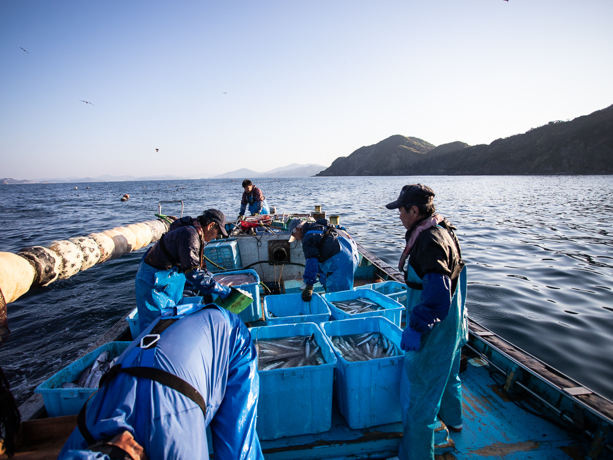 f:id:kirishimaonsen:20191203231756j:plain