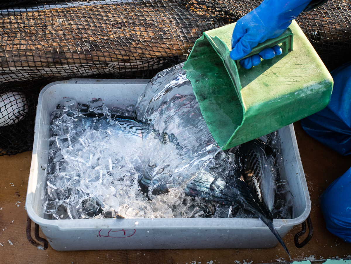 f:id:kirishimaonsen:20191203231802j:plain