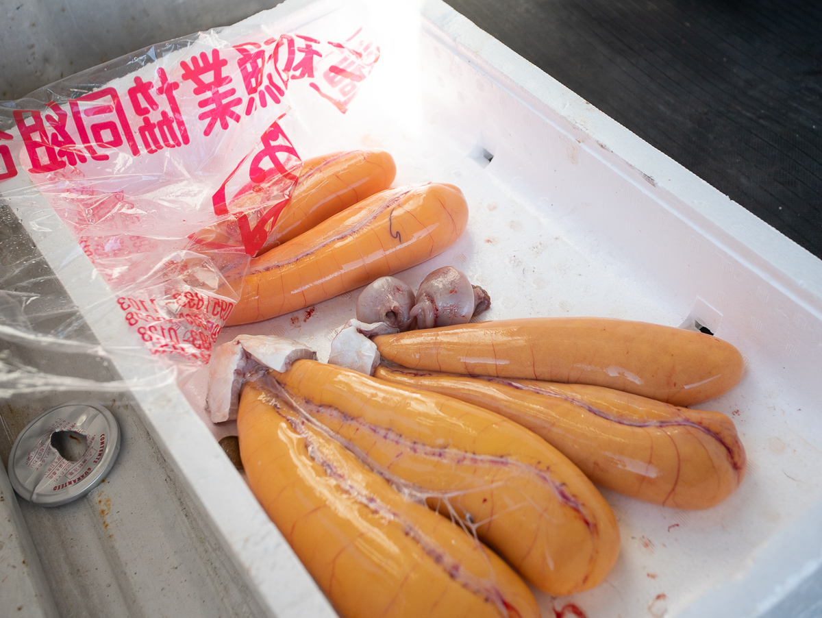 f:id:kirishimaonsen:20191203231816j:plain