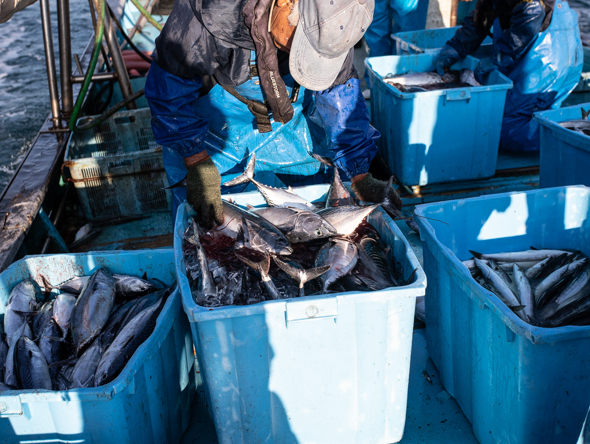 f:id:kirishimaonsen:20191203231900j:plain