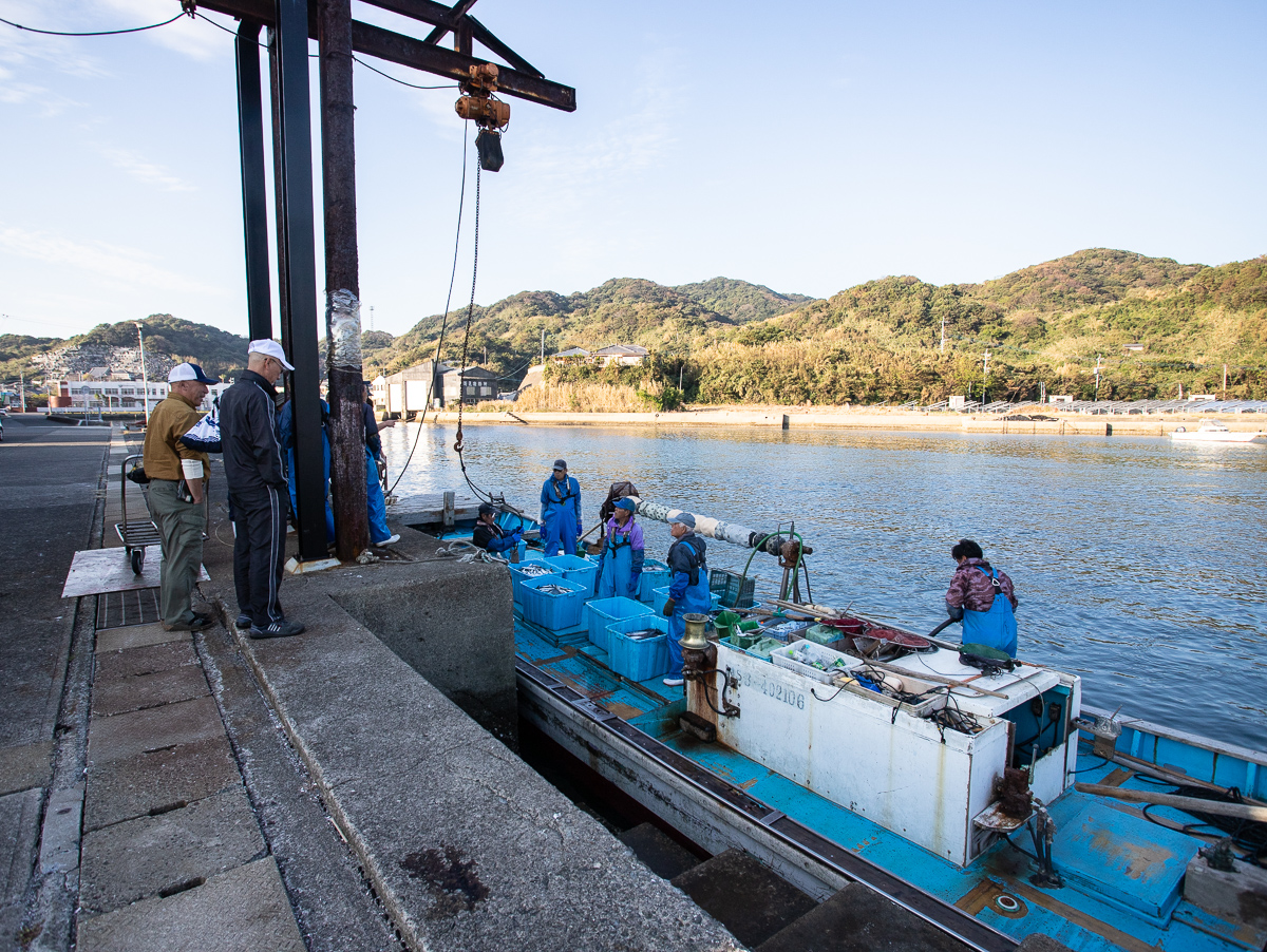 f:id:kirishimaonsen:20191203233349j:plain