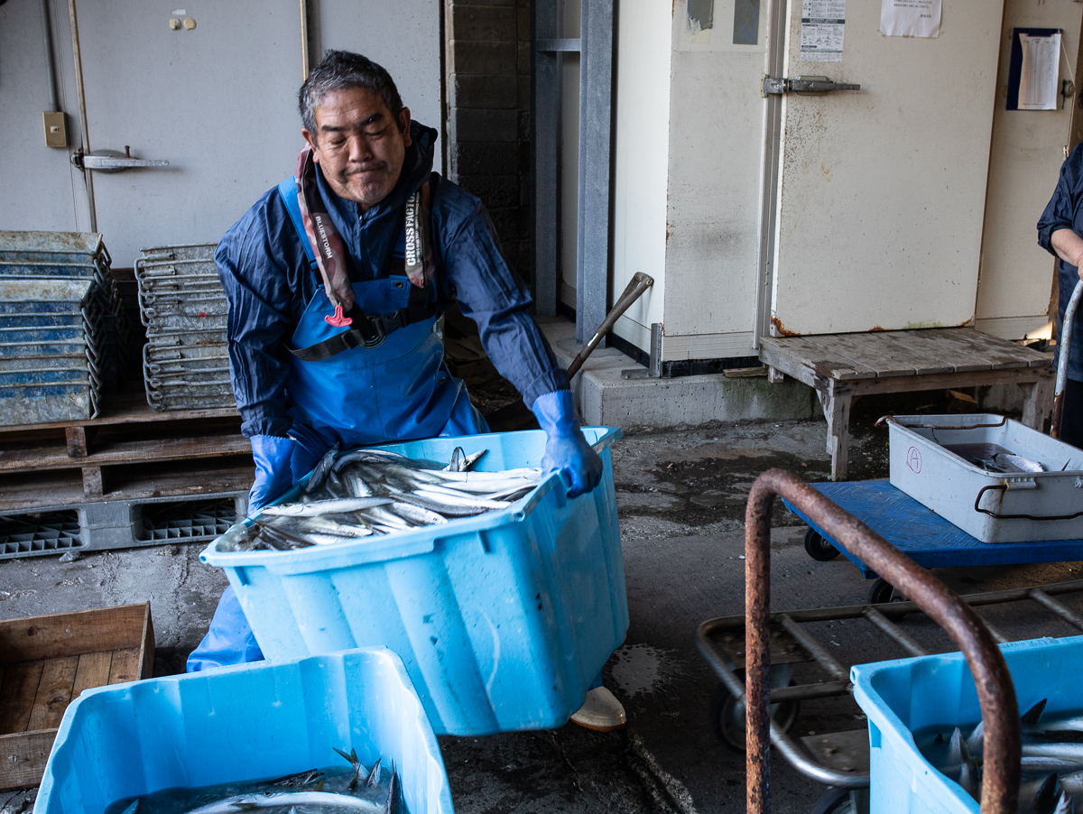 f:id:kirishimaonsen:20191203233431j:plain