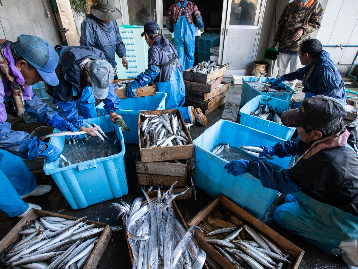 f:id:kirishimaonsen:20191203233437j:plain