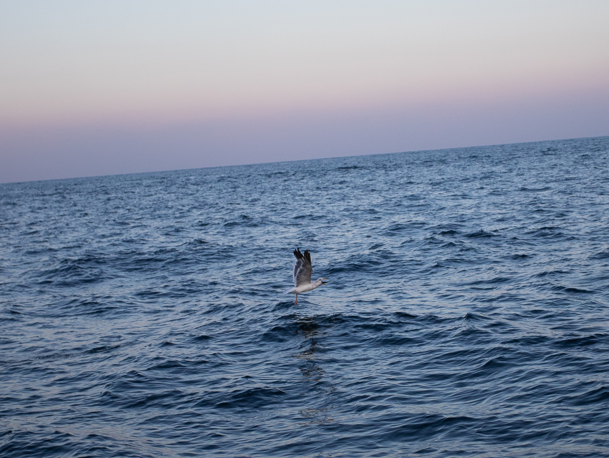 f:id:kirishimaonsen:20191203233448j:plain