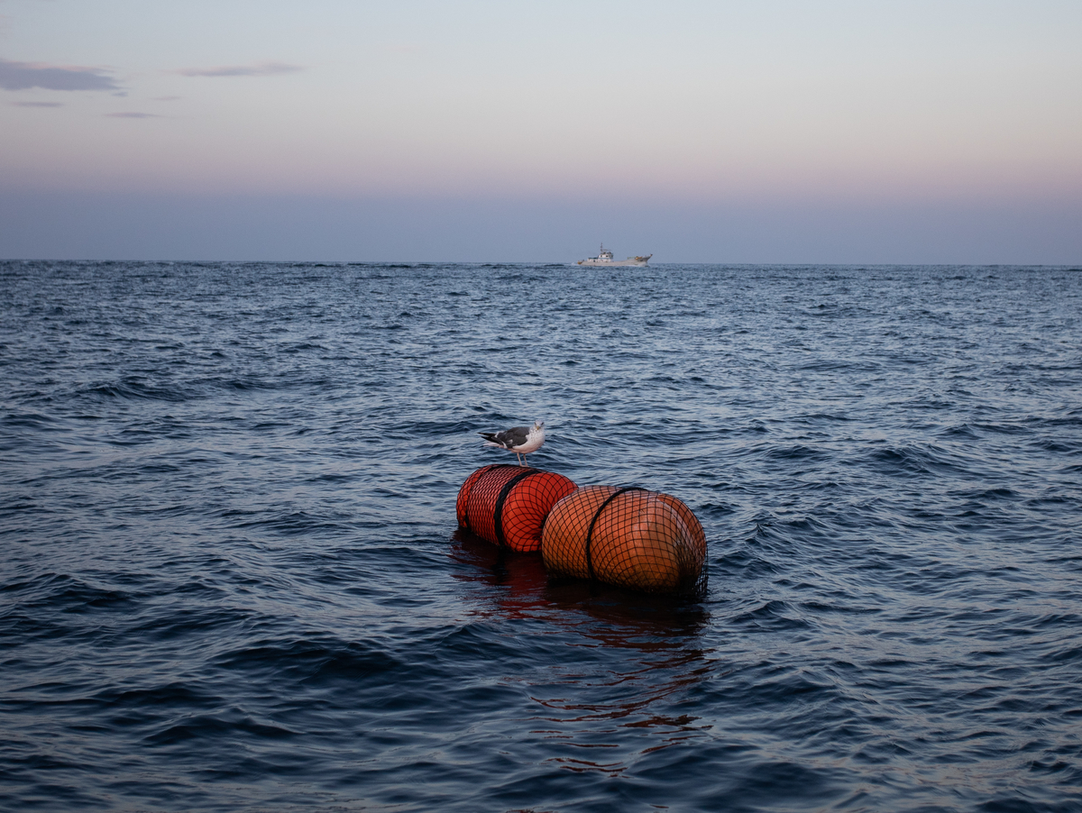 f:id:kirishimaonsen:20191203233452j:plain