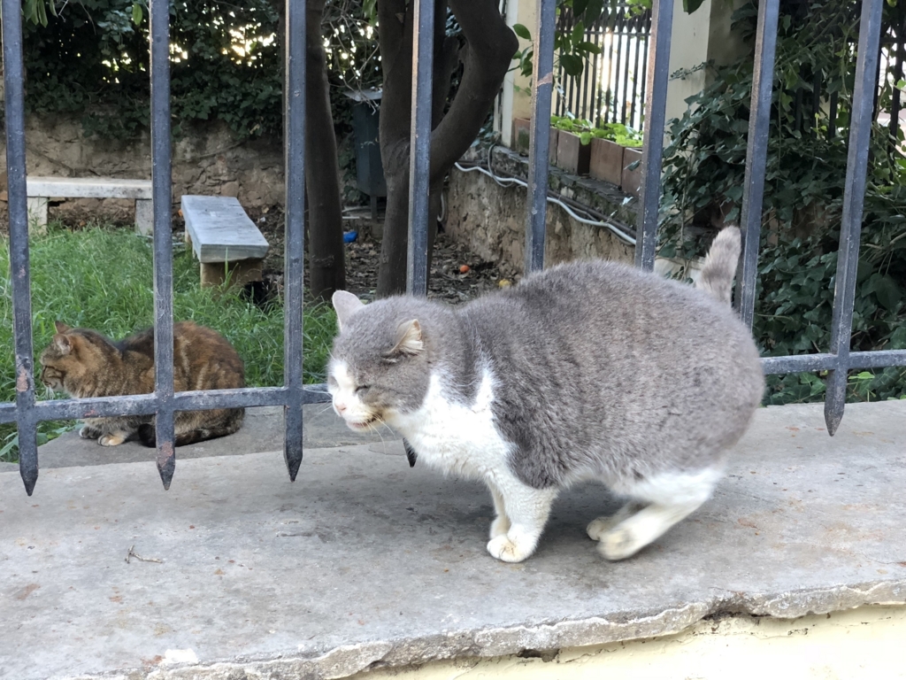 f:id:kiritanpotan:20180111231628j:plain