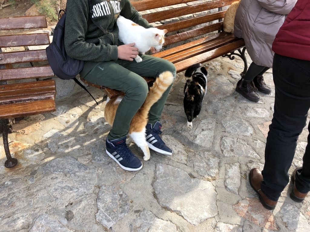 f:id:kiritanpotan:20180120012002j:plain