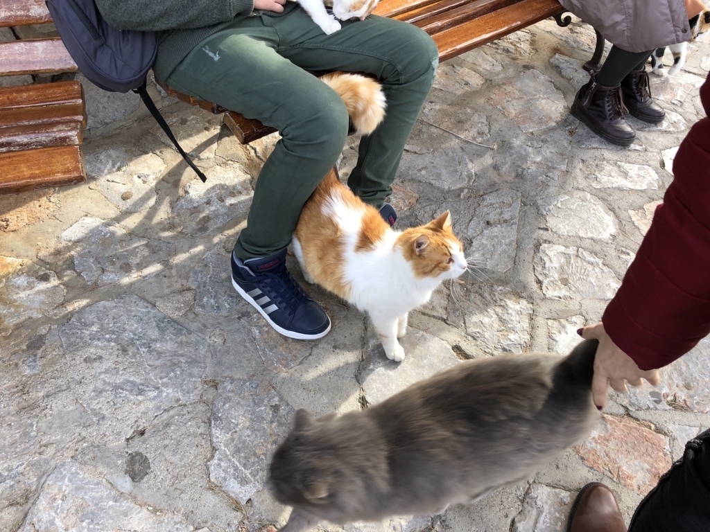 f:id:kiritanpotan:20180120012015j:plain