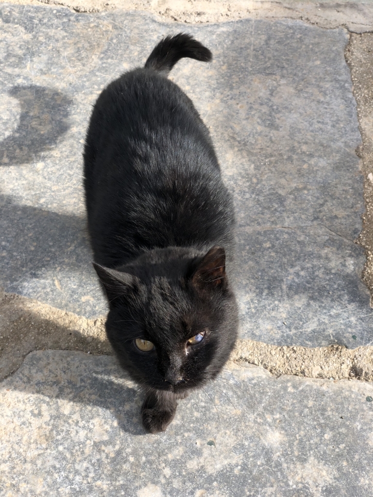 f:id:kiritanpotan:20180120012258j:plain