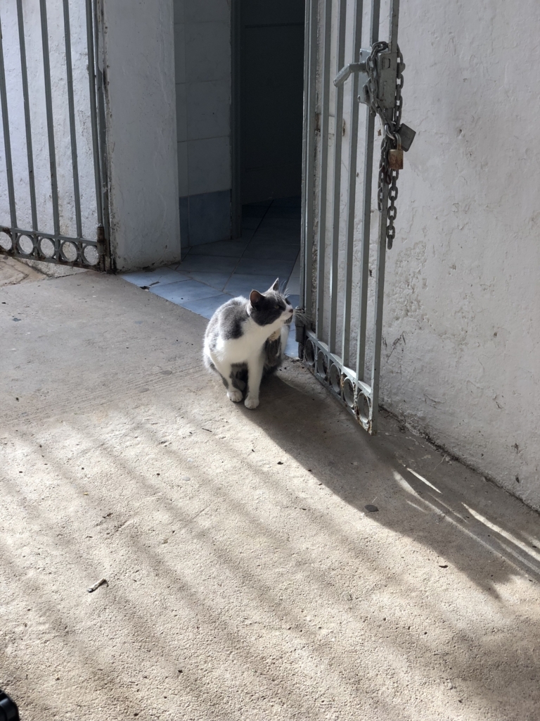 f:id:kiritanpotan:20180120012326j:plain