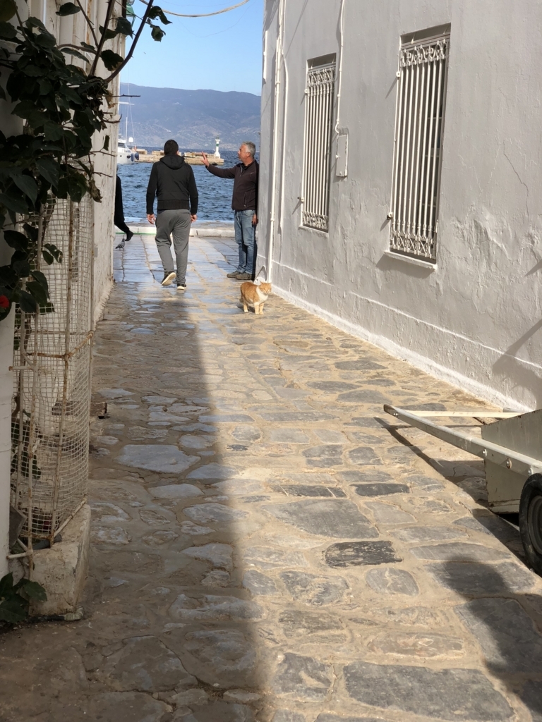 f:id:kiritanpotan:20180120012351j:plain