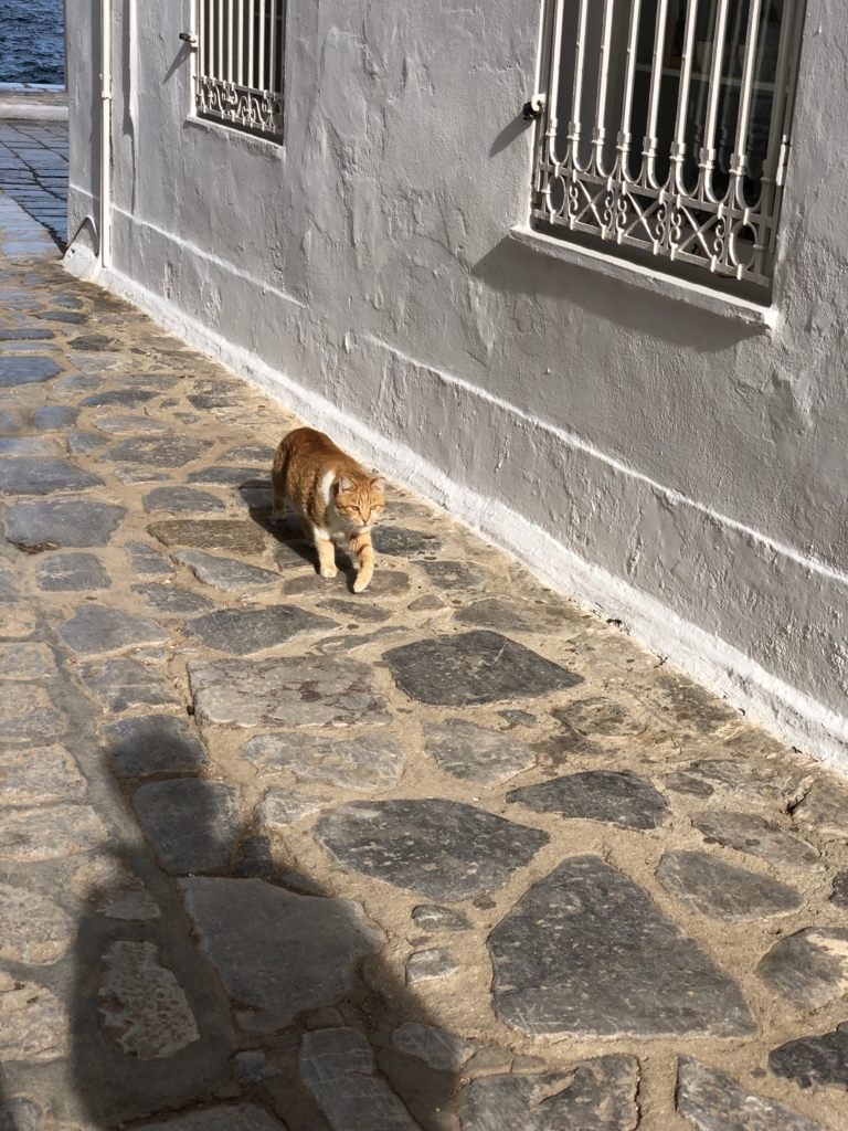 f:id:kiritanpotan:20180120012406j:plain