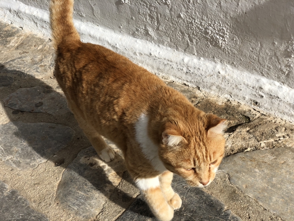 f:id:kiritanpotan:20180120012419j:plain