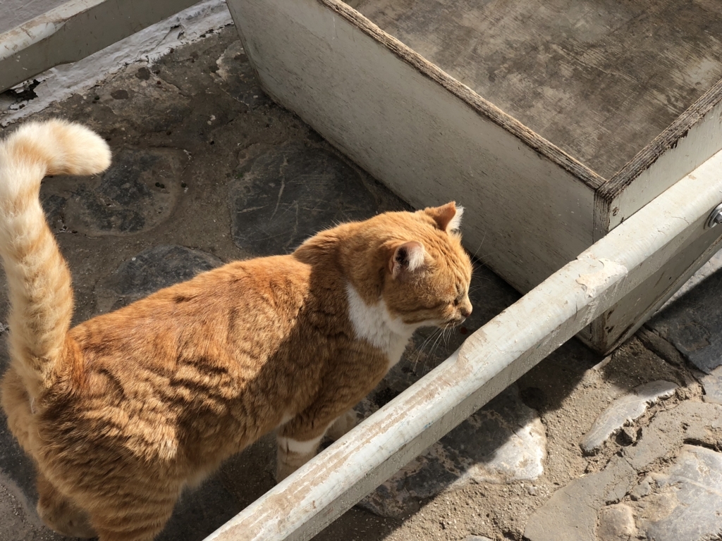 f:id:kiritanpotan:20180120012530j:plain