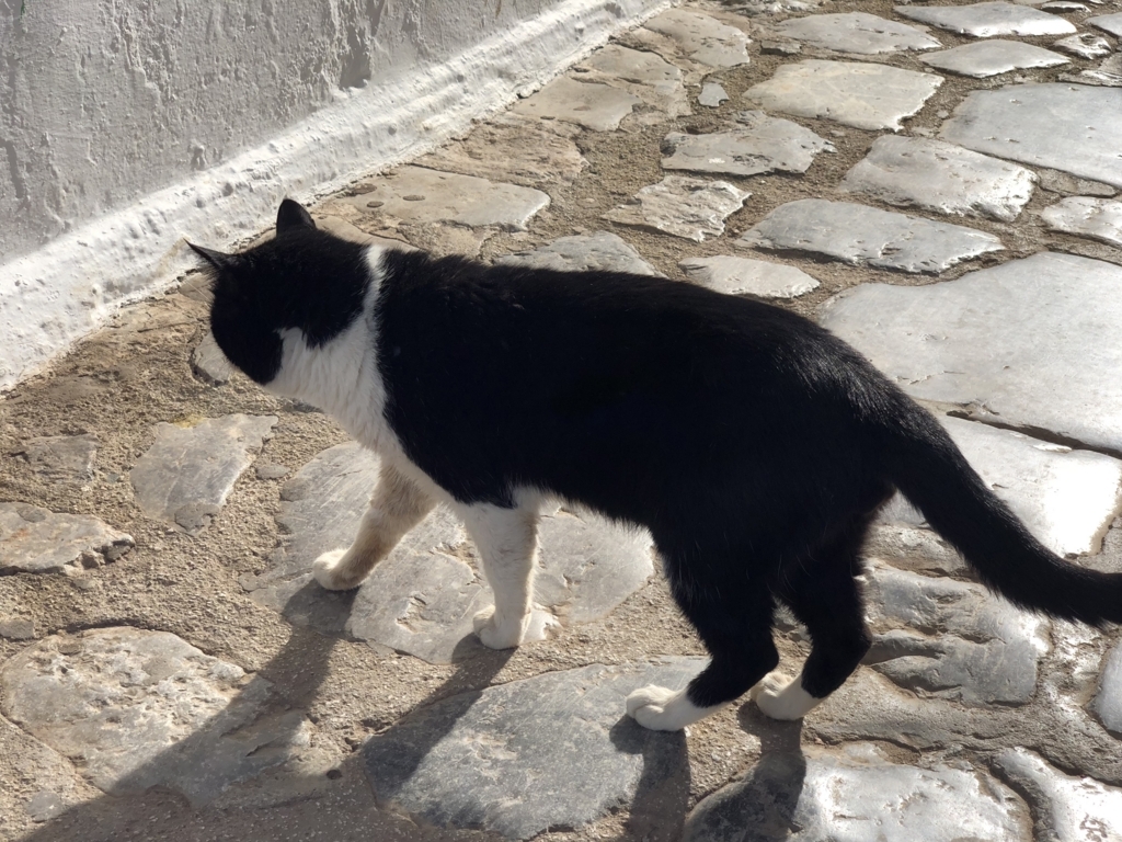 f:id:kiritanpotan:20180120012553j:plain