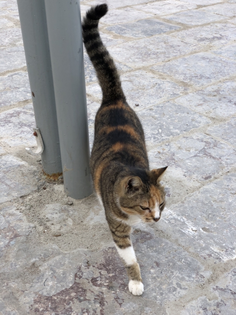 f:id:kiritanpotan:20180120012702j:plain