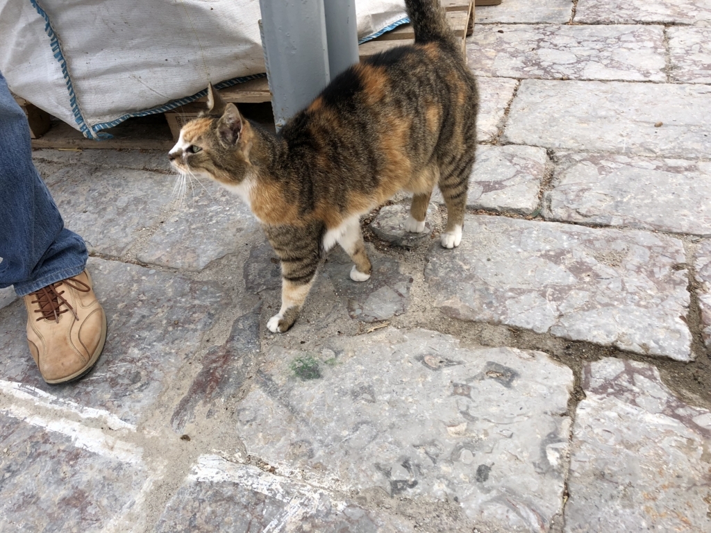 f:id:kiritanpotan:20180120012724j:plain