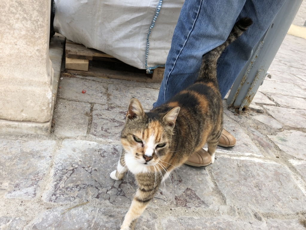 f:id:kiritanpotan:20180120012736j:plain