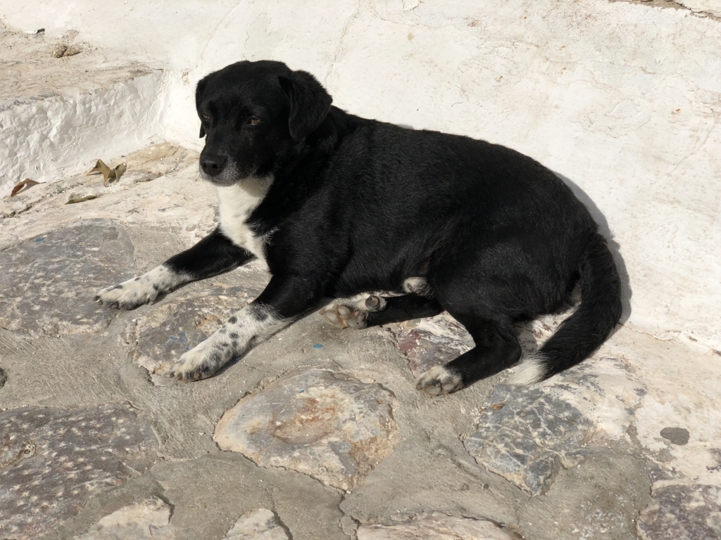 f:id:kiritanpotan:20180120012747j:plain