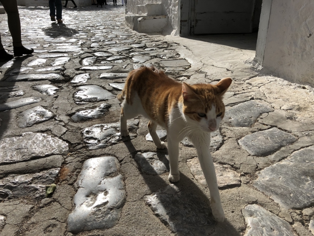 f:id:kiritanpotan:20180120012940j:plain